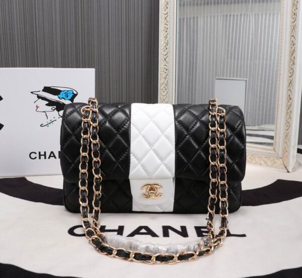 New Collection Chanel Bag 643