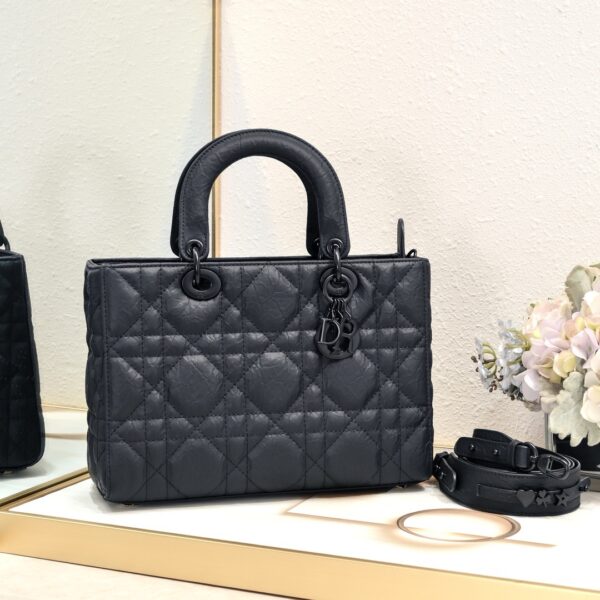 New Collection Dior Bag 0264