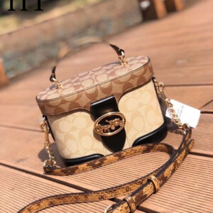 New Collection Coach Bag 60