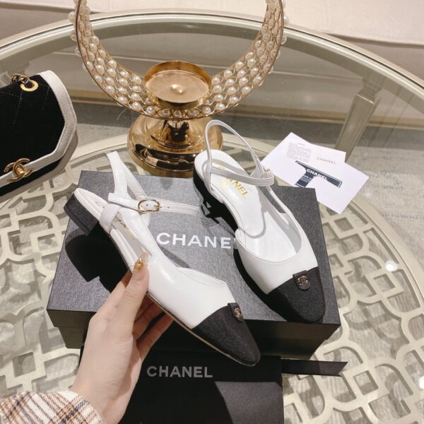 New Collection Chanel Shoes 250