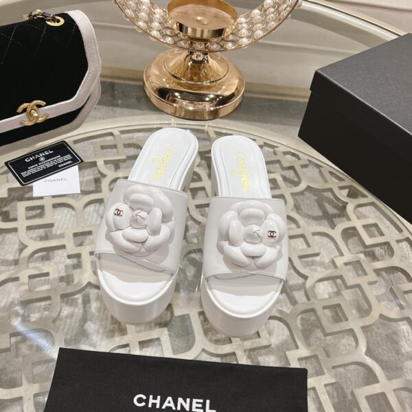 New Collection Chanel Shoes 248