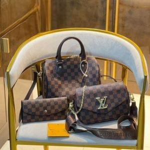 New Collection LV Bag 1636 (Full Set)