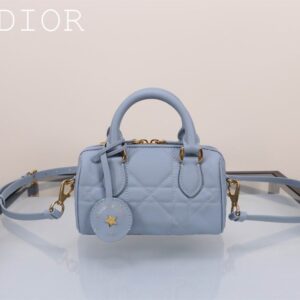 New Collection Dior Bag 0301