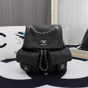 New Collection Chanel Bag 729