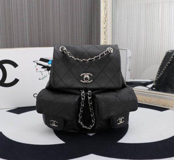 New Collection Chanel Bag 729