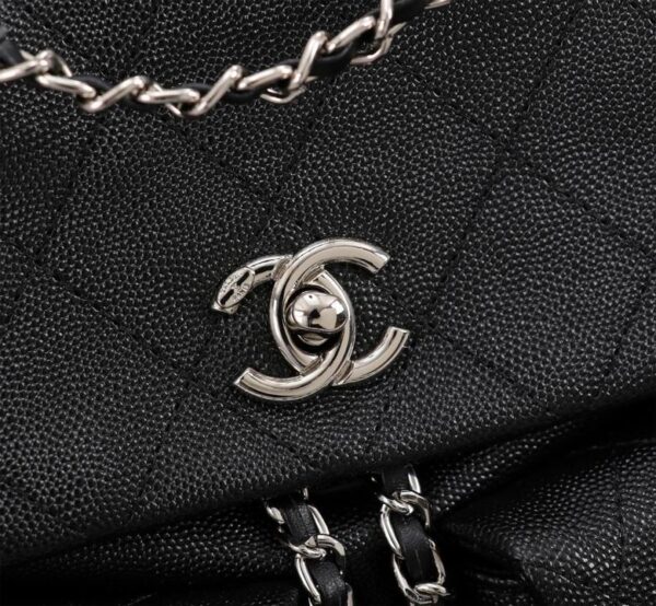 New Collection Chanel Bag 729