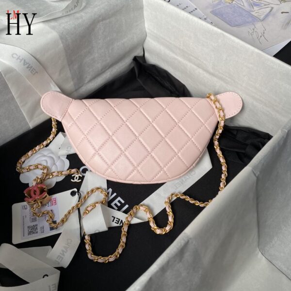 New Collection Chanel Bag 750