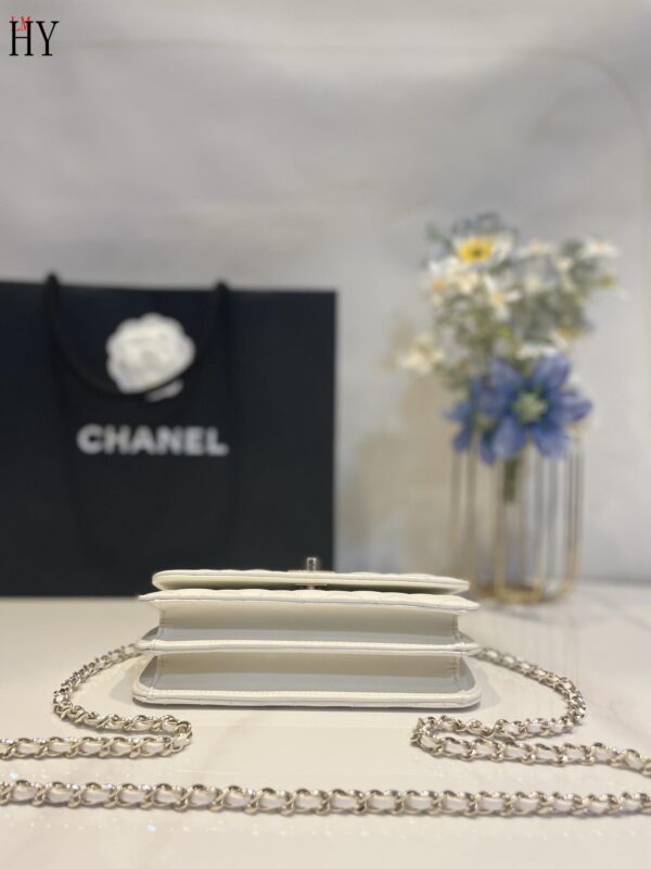 New Collection Chanel Bag 755