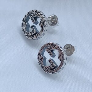 New Collection Gucci Earring 21