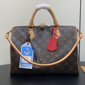 New Collection LV Bag 1893