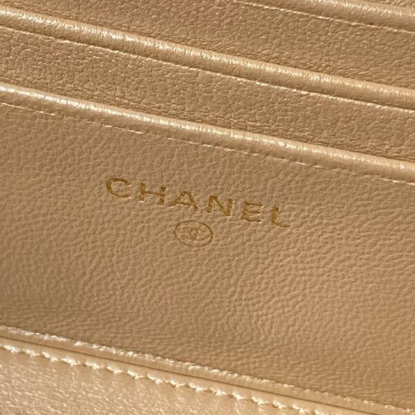 New Collection Chanel Bag 765