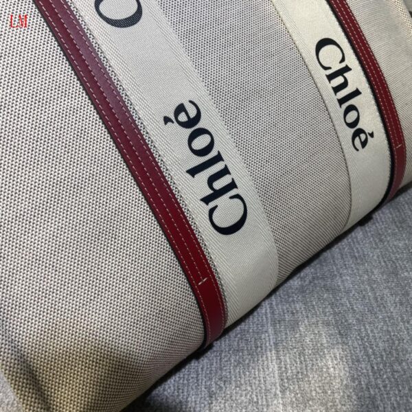 New Collection Chloe Bag 003