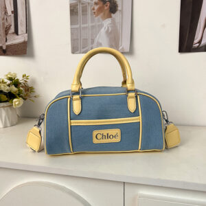 New Collection Chloe Bag 014