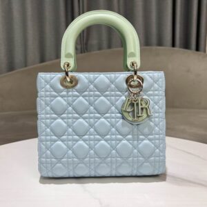 New Collection Dior Bag 333