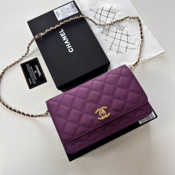 New Collection Chanel Bag 829