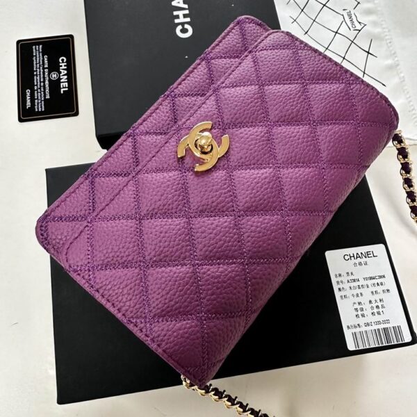 New Collection Chanel Bag 829