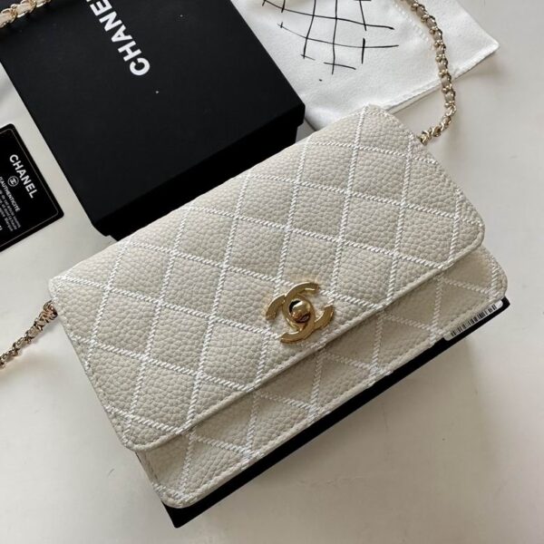 New Collection Chanel Bag 829