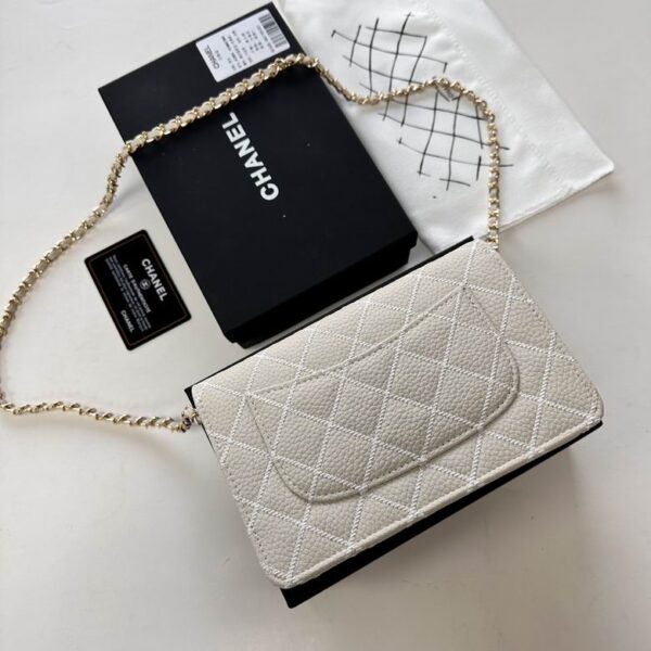 New Collection Chanel Bag 829