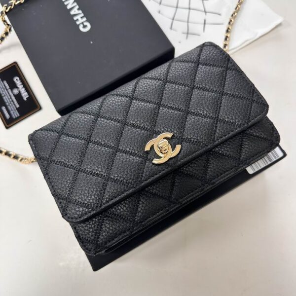 New Collection Chanel Bag 829