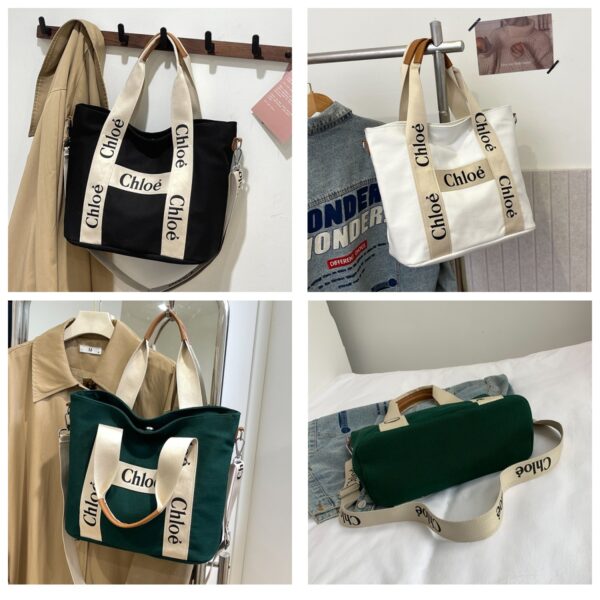 New Collection Chloe Bag 029