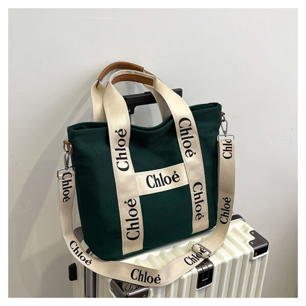 New Collection Chloe Bag 029