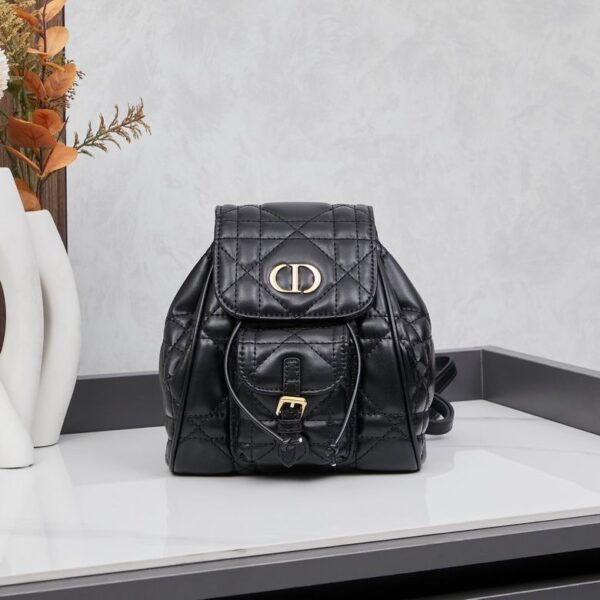 New Collection Dior Bag 345