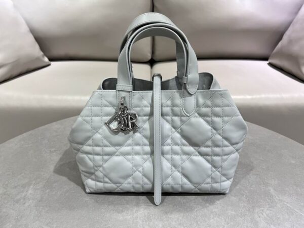 New Collection Dior Bag 344