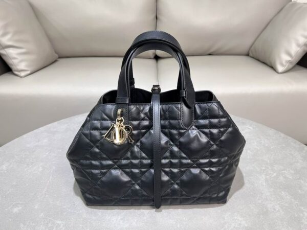 New Collection Dior Bag 344