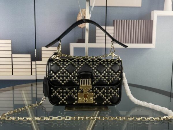 New Collection Dior Bag 347