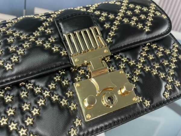 New Collection Dior Bag 347