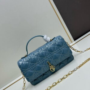 Dior lady 3501 21x11 5x4 5cm jj31 1892874