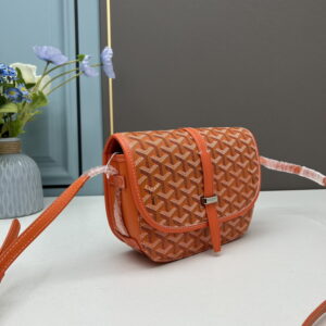 Goyard 22x15x6 5cm ss42 1896322