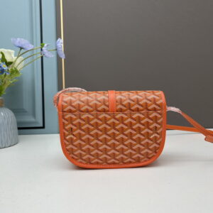 Goyard 22x15x6 5cm ss43 1896321
