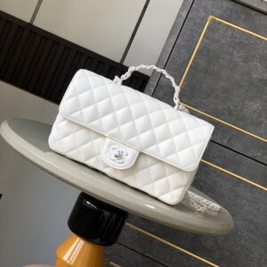 New Collection Chanel(Original) Bag 895