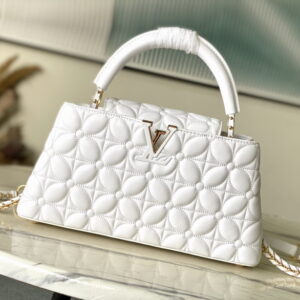 New Collection LV Bag 2098