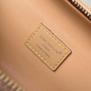 New Collection LV Bag 2105