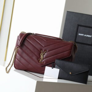 New Collection Saint Laurent Bag 169