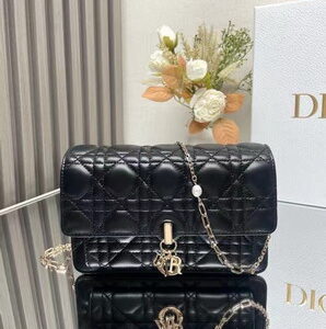 New Collection Dior Bag 417