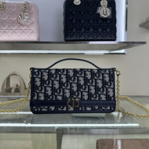 New Collection Dior Bag 421
