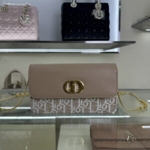 New Collection Dior Bag 420