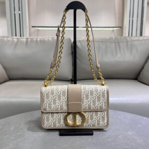 New Collection Dior(Original Version) Bag 419