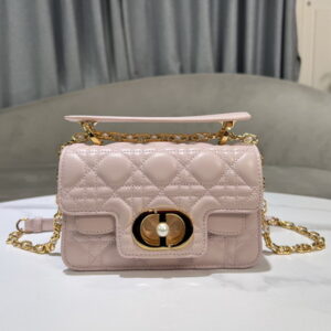 New Collection Dior Bag 424