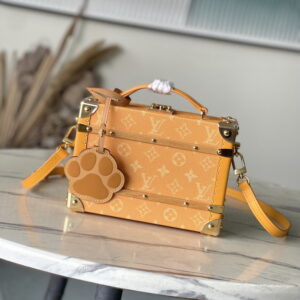 New Collection LV Bag 2236