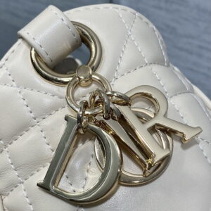 Dior Caro 2851 17x19 5x11cm yz24 1974548