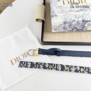 New Collection Dior Belt 015 4 Dior belt 20mmX90 115cm 8L (4) 3202344
