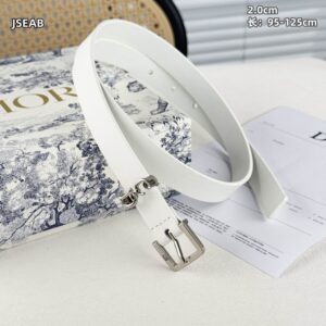 New Collection Dior Belt 014 4 Dior belt 20mmX95 125cm 8L (12) 3202352