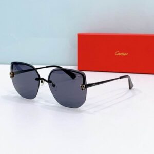 Cartier Glasses 08smh275 (6) 3181381