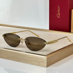 Cartier Glasses 08smh297 (5) 3181741