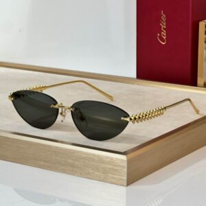 Cartier Glasses 08smh297 (6) 3181740