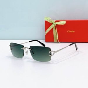 Cartier Glasses 08smh302 (2) 3181830